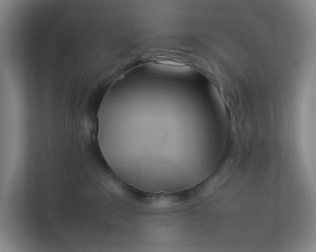 X0000111950235200908101228