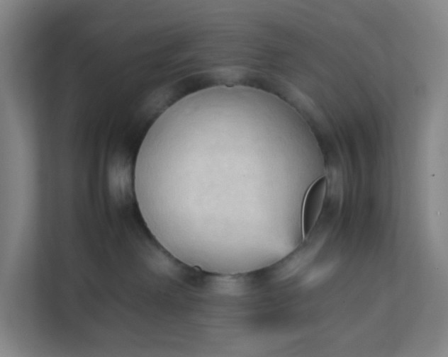 X0000111950238200908101228