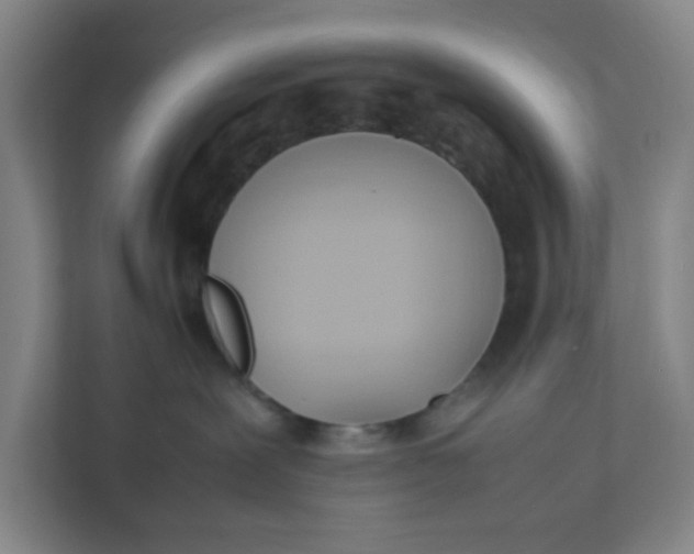 X0000111950239200908101228