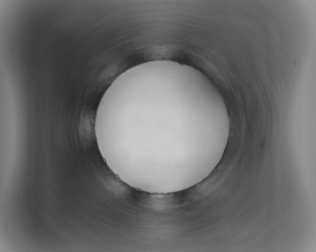 X0000111950240200908101228