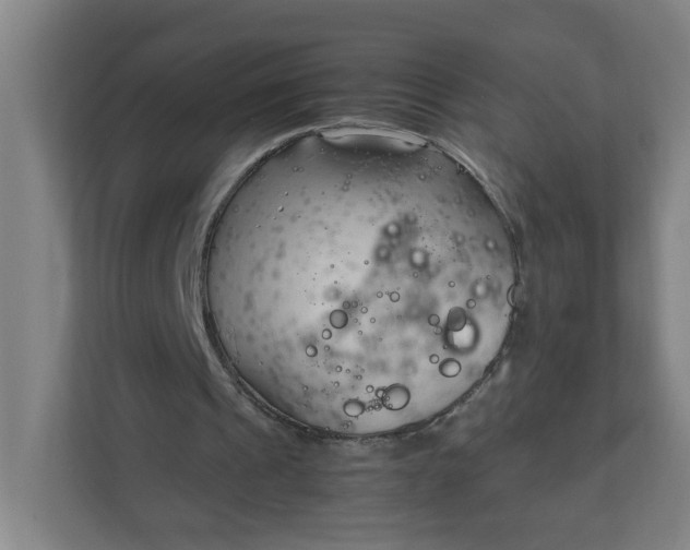 X0000111950241200908101228