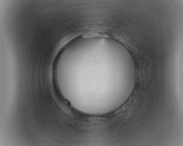 X0000111950242200908101228