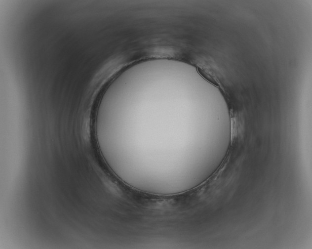 X0000111950243200908101228