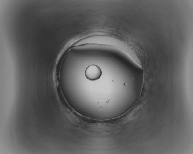 X0000111950244200908101228