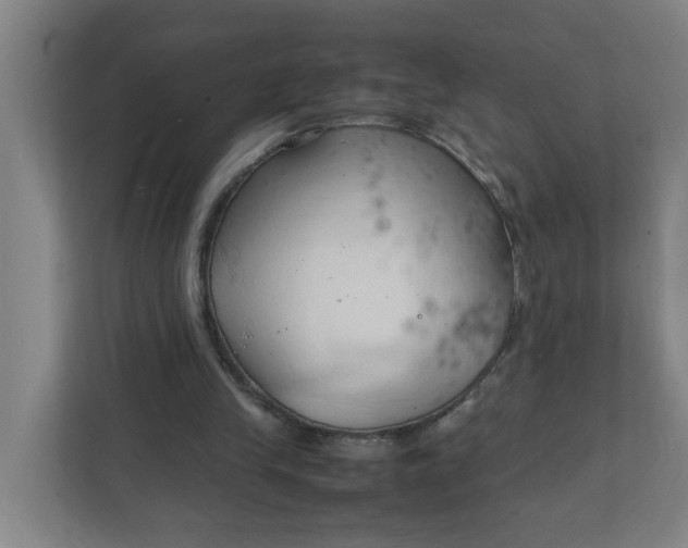 X0000111950245200908101228