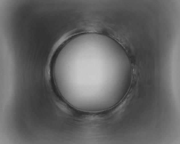 X0000111950246200908101228