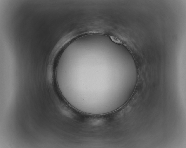 X0000111950247200908101228