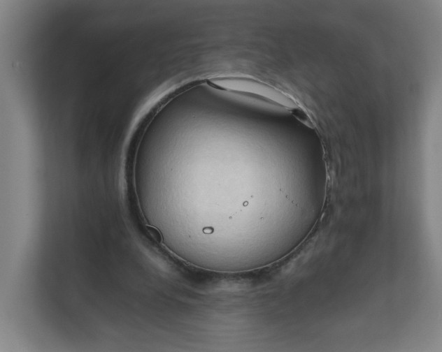 X0000111950248200908101228