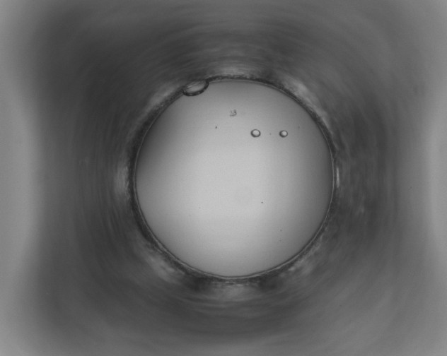 X0000111950249200908101228