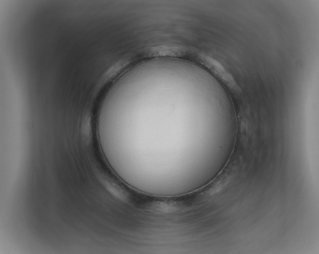 X0000111950250200908101228