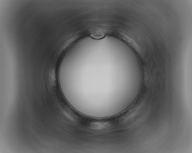 X0000111950251200908101228