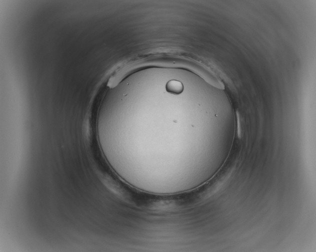 X0000111950252200908101228