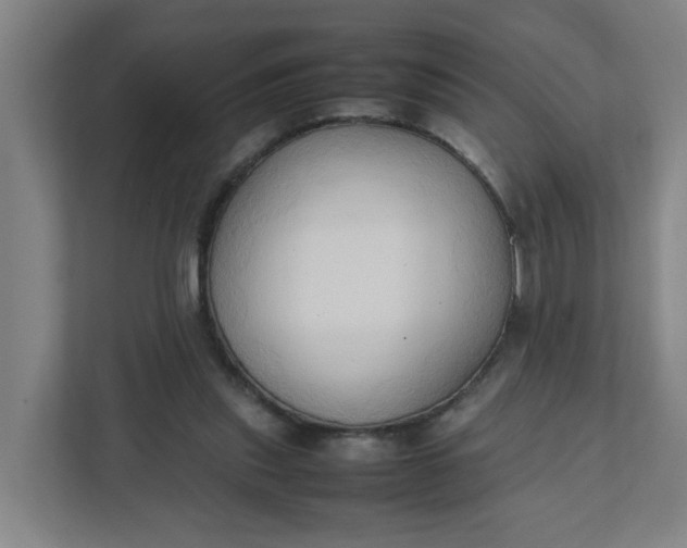 X0000111950253200908101228