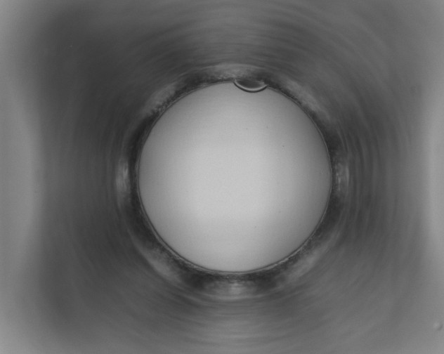 X0000111950254200908101228