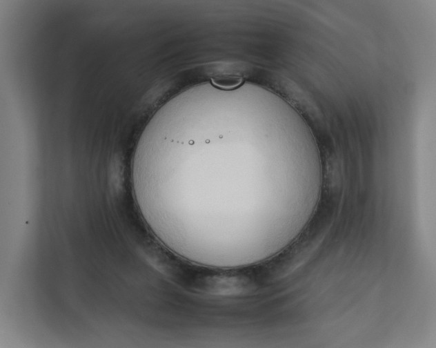 X0000111950255200908101228