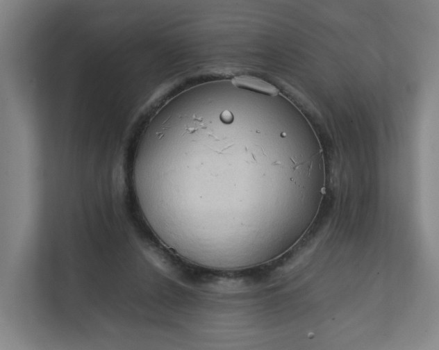 X0000111950256200908101228