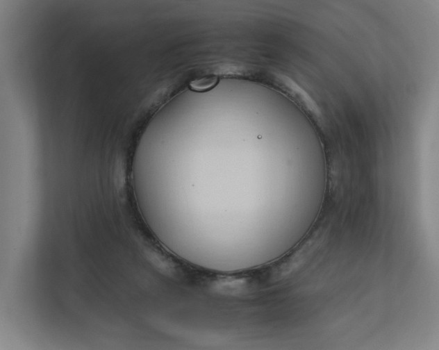 X0000111950257200908101228