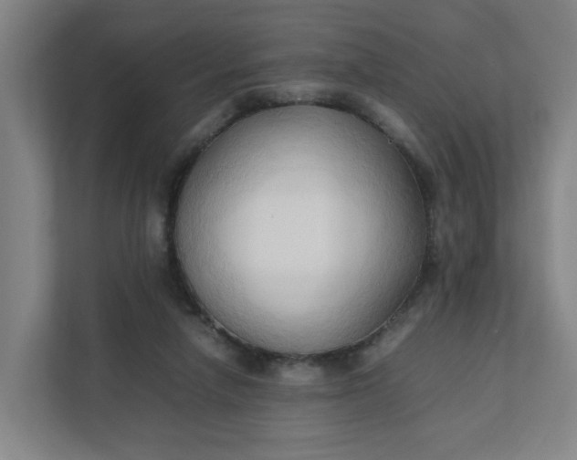 X0000111950258200908101228