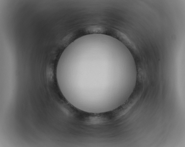 X0000111950259200908101228