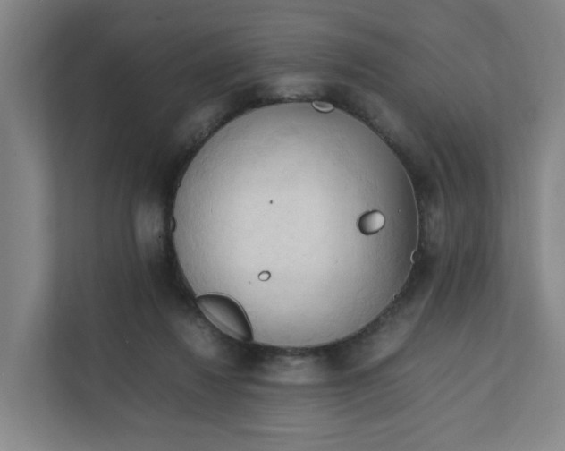 X0000111950260200908101228