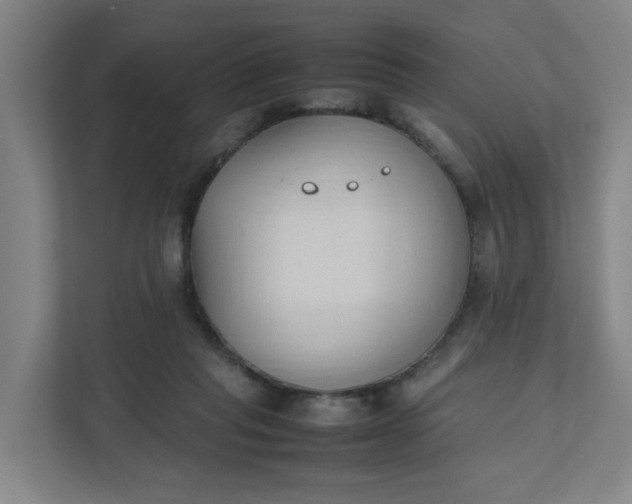 X0000111950261200908101228