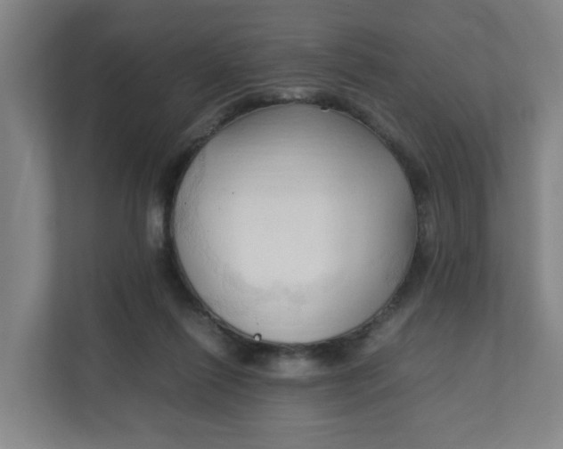 X0000111950262200908101228