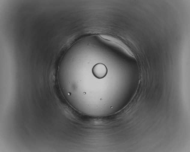 X0000111950264200908101228