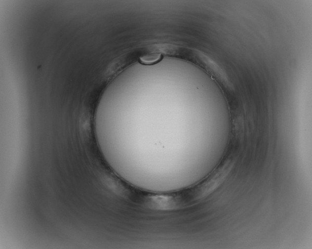 X0000111950265200908101228