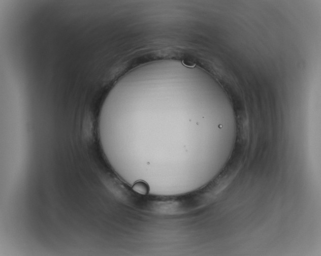 X0000111950266200908101228