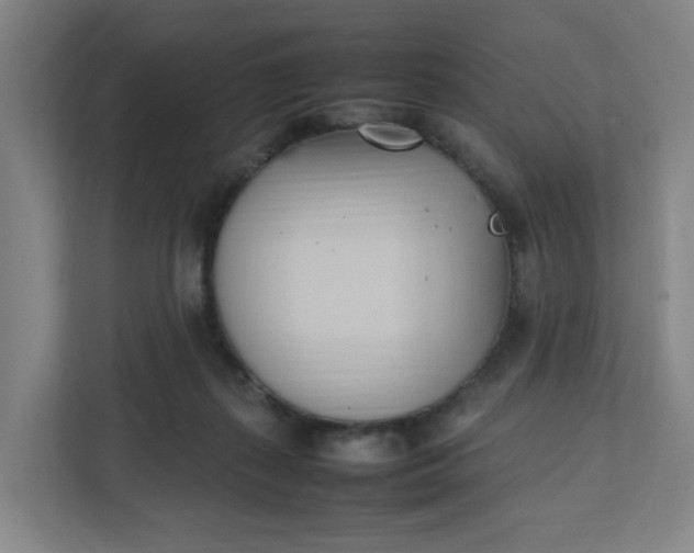 X0000111950267200908101228