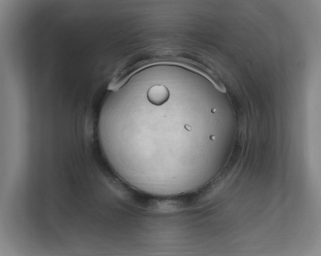 X0000111950268200908101228