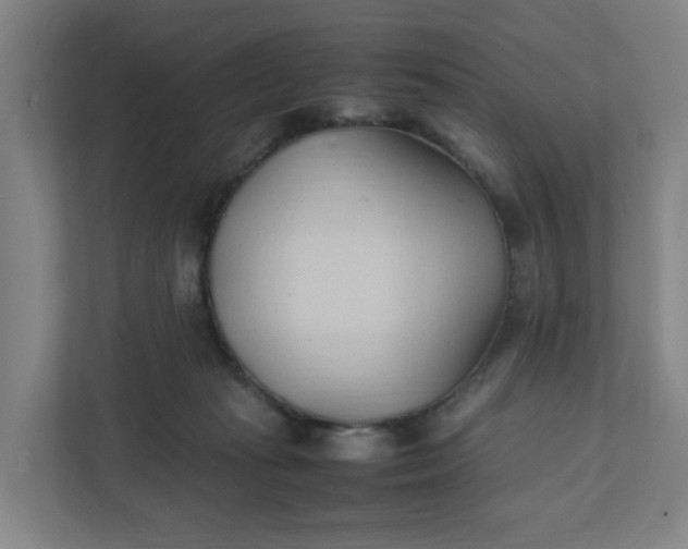 X0000111950269200908101228