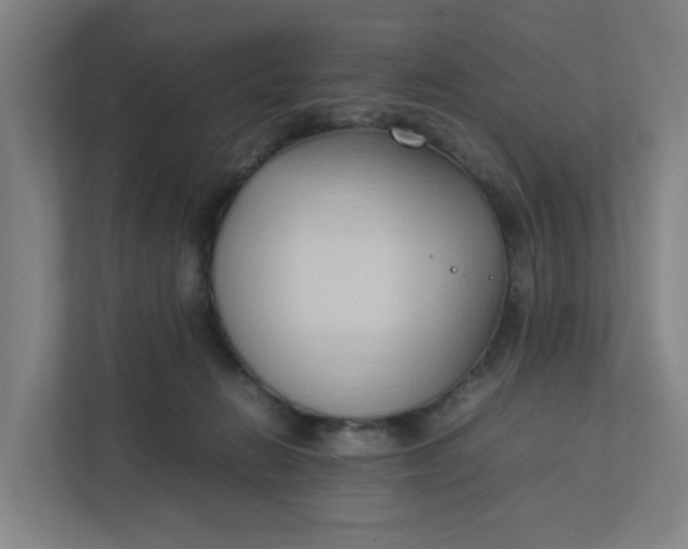 X0000111950270200908101228