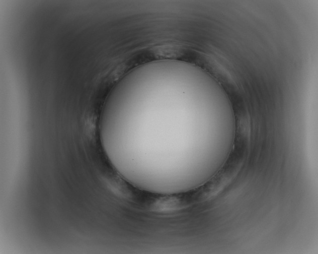 X0000111950271200908101228