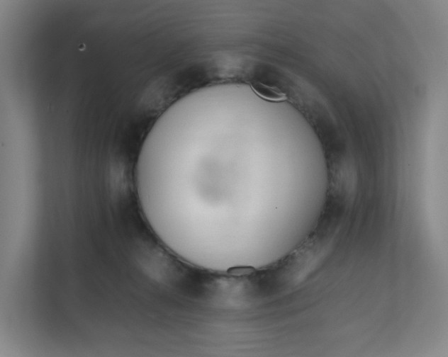 X0000111950272200908101228