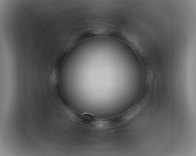 X0000111950273200908101228