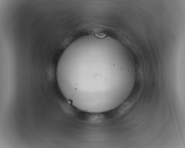 X0000111950274200908101228