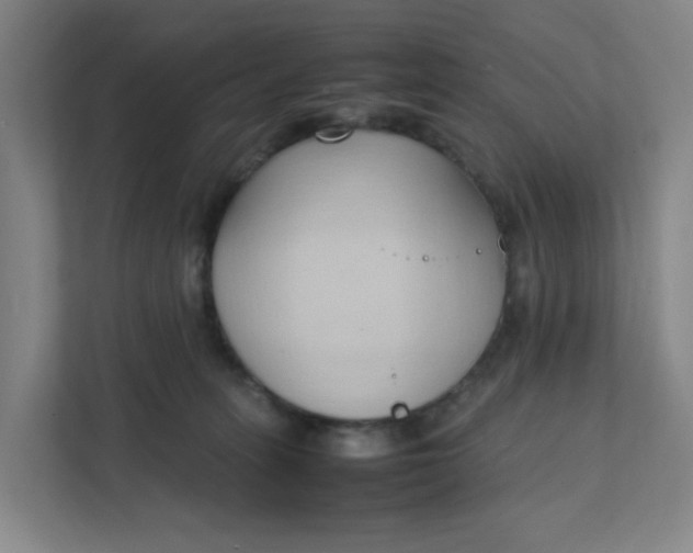 X0000111950275200908101228