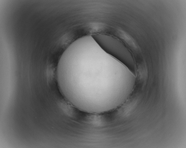 X0000111950276200908101228