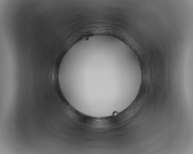 X0000111950277200908101228