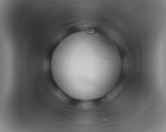 X0000111950278200908101228