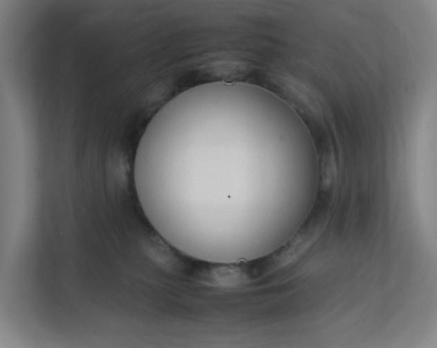 X0000111950279200908101228