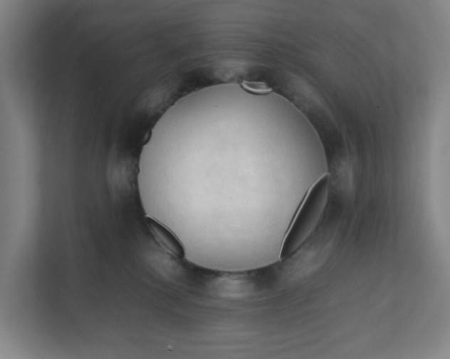 X0000111950280200908101228