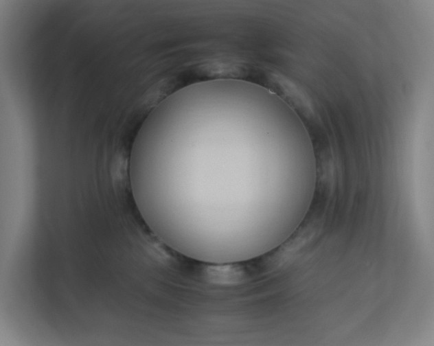 X0000111950281200908101228