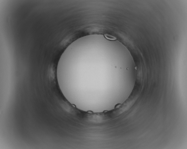 X0000111950282200908101228