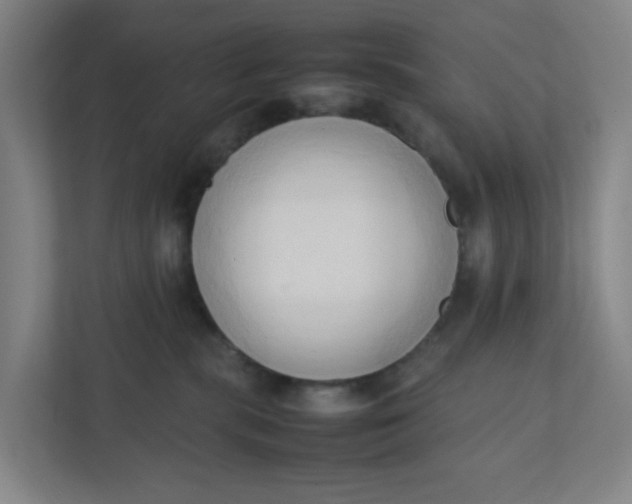 X0000111950283200908101228