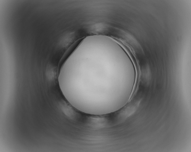 X0000111950284200908101228