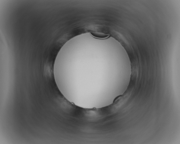 X0000111950285200908101228