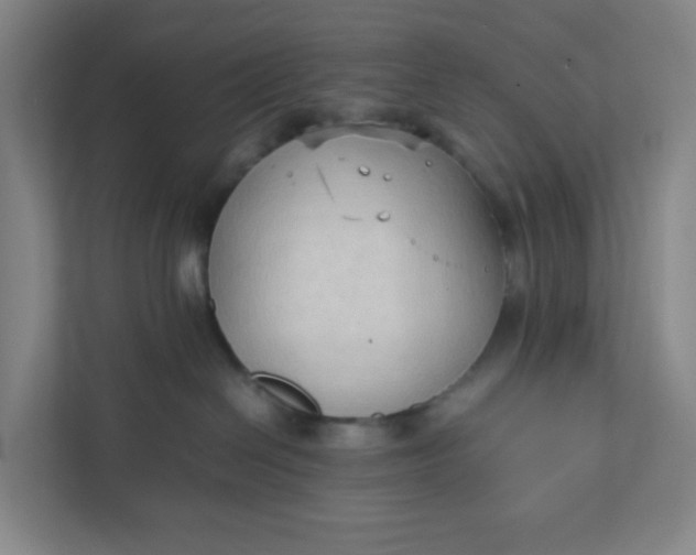 X0000111950286200908101228