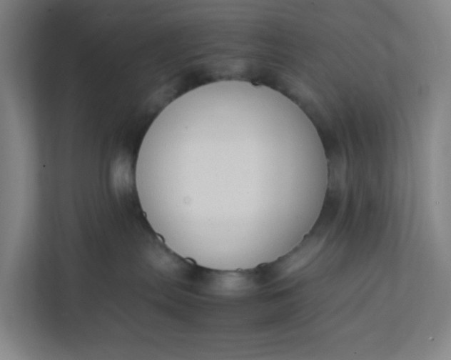 X0000111950287200908101228